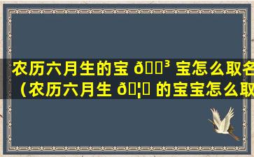 农历六月生的宝 🐳 宝怎么取名（农历六月生 🦟 的宝宝怎么取名好听）